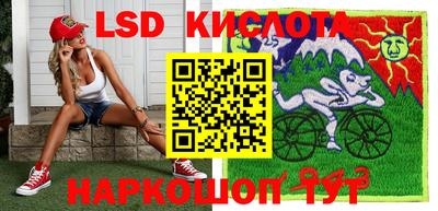 прущие грибы Тверь
