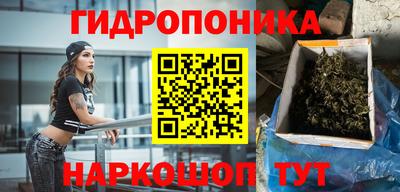 прущие грибы Тверь