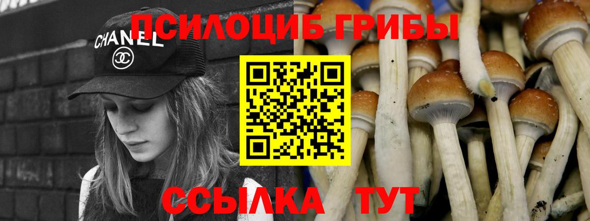 Омск  Псилоцибиновые грибы GOLDEN TEACHER  Вход с VPN 